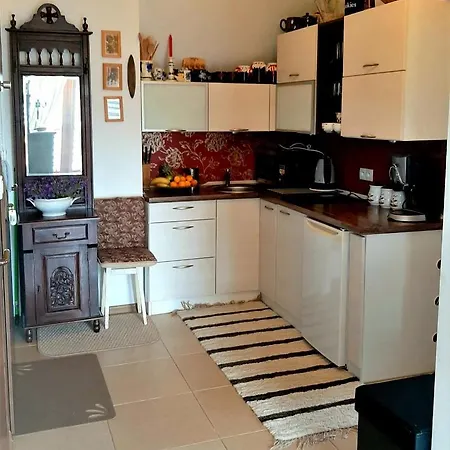 Lejlighed Apartament Vintage Nowe Bystre