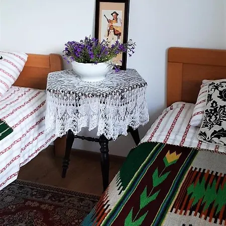 Apartament Vintage Lejlighed Nowe Bystre