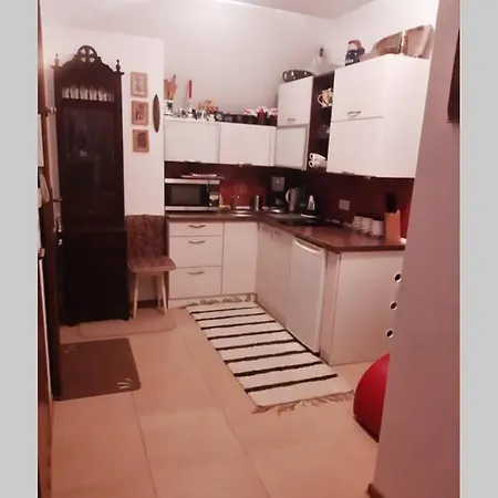 Lejlighed Apartament Vintage Nowe Bystre