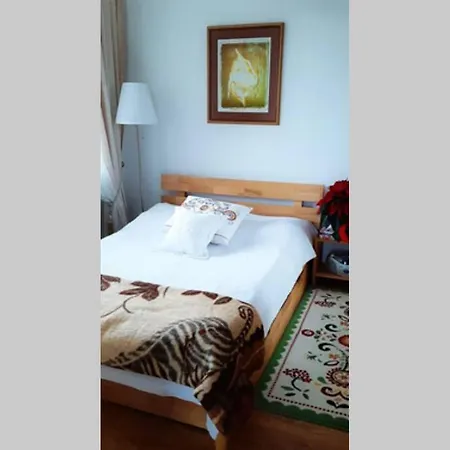 Apartament Vintage Lejlighed Nowe Bystre